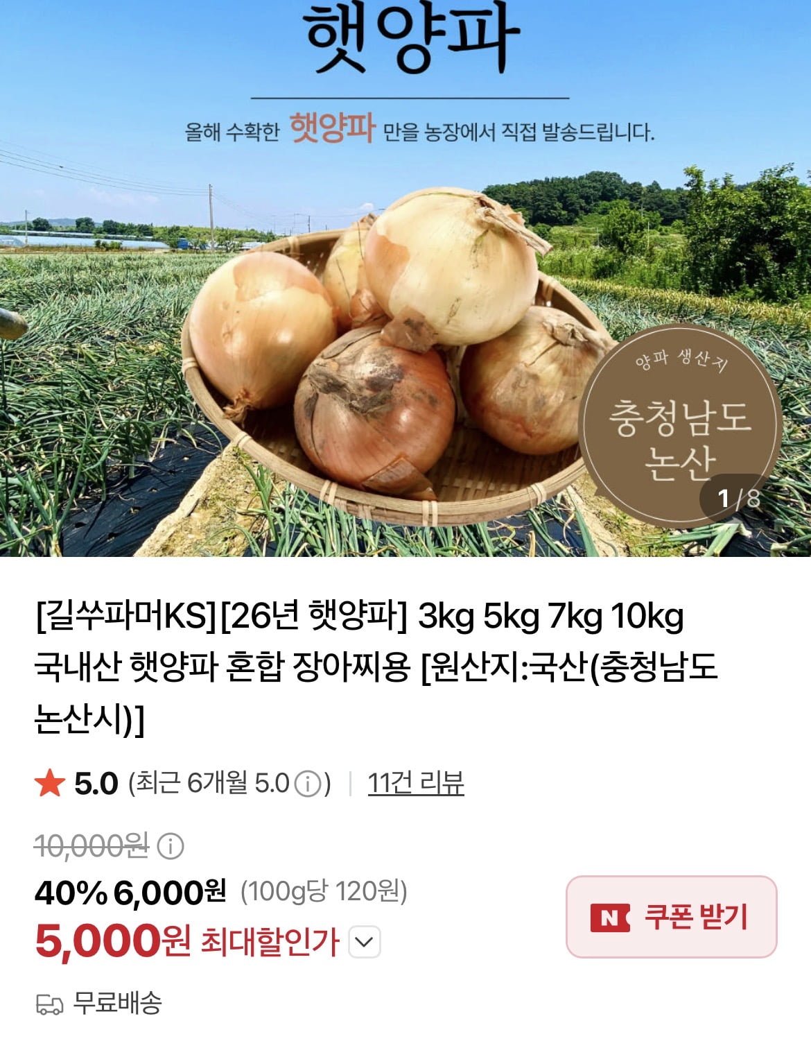 국내산 햇양파 5kg