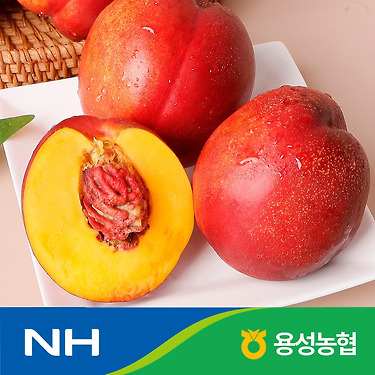 천홍 천도 복숭아 2kg