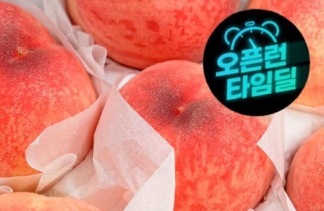 백도 복숭아 딱딱이 정품 4KG 중과 (19-24과
