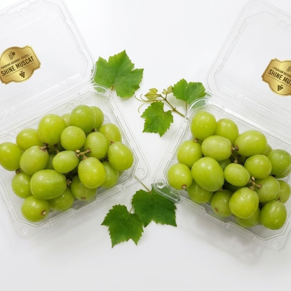 17brix 이상 상단 로얄선별 샤인머스켓 400g4팩