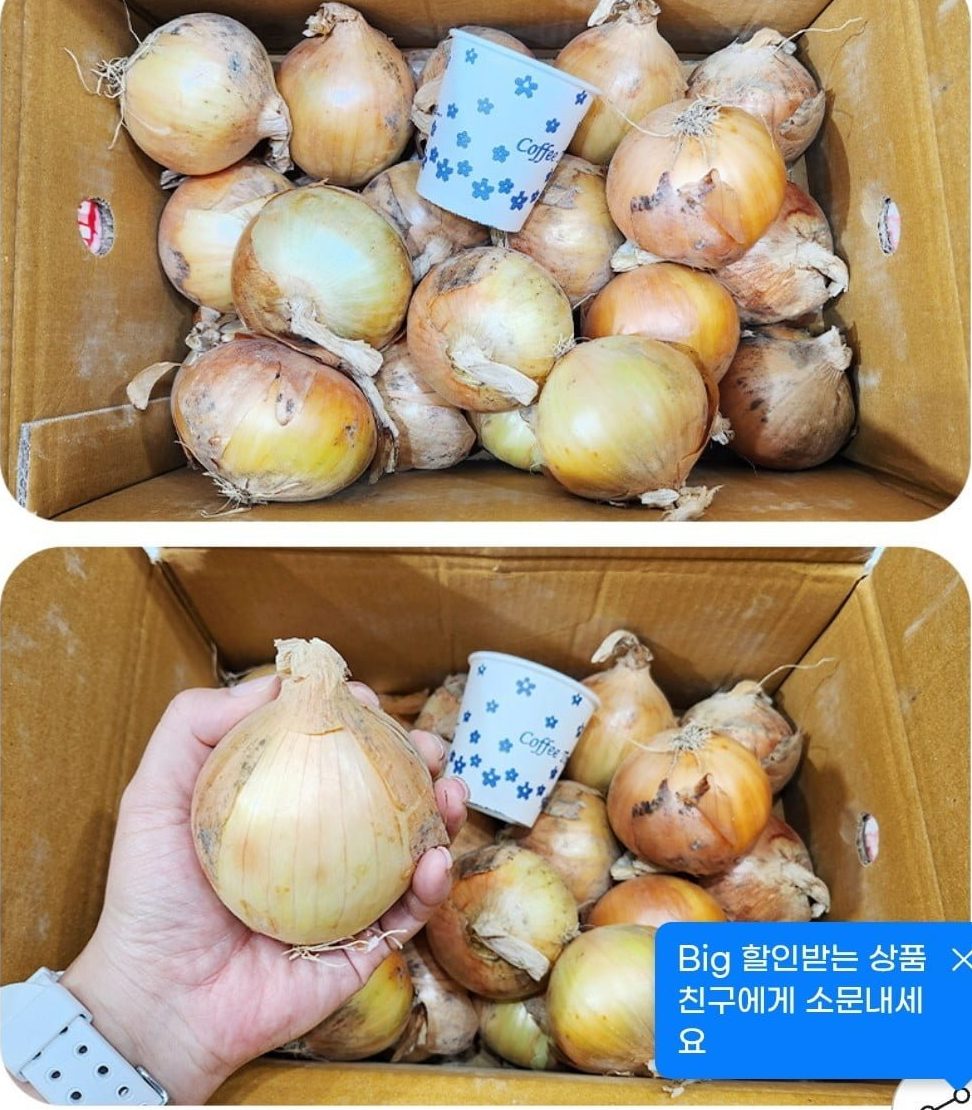 장아찌 5kg