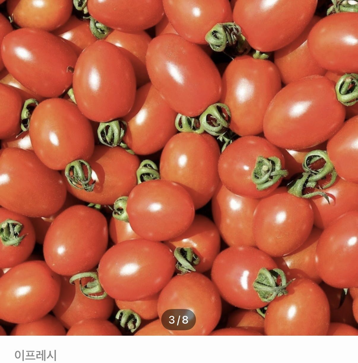 대추방울토마토 소과 3kg
