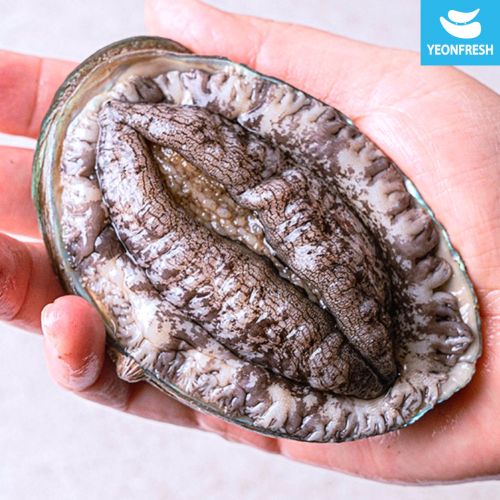 완도활전복 1kg 9미-10미