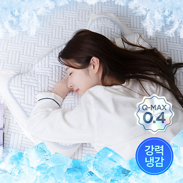 비엔룸 아이스 쿨 냉감 침대패드 Q-MAX 0.4