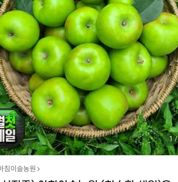 경북 청사과 아오리 4kg 소과 20~35과