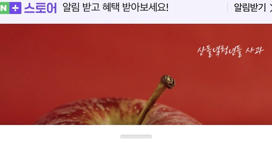 경북 사과 10kg
