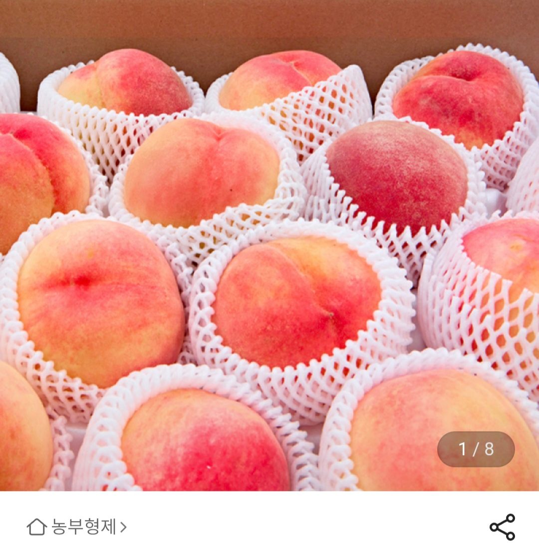 경봉 딱딱이 복숭아 2kg 중과
