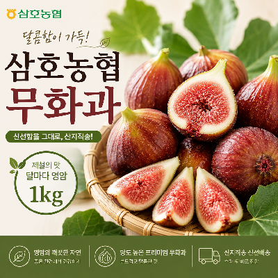 삼호농협 영암 무화과 1kg(500g+500g) 무배
