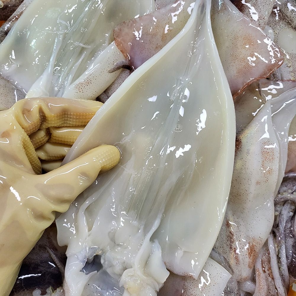 원양산 자연산 손질 통오징어 220g 5팩