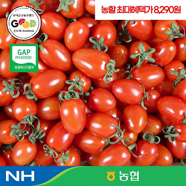 농협 국내산 대추방울토마토 2kg
