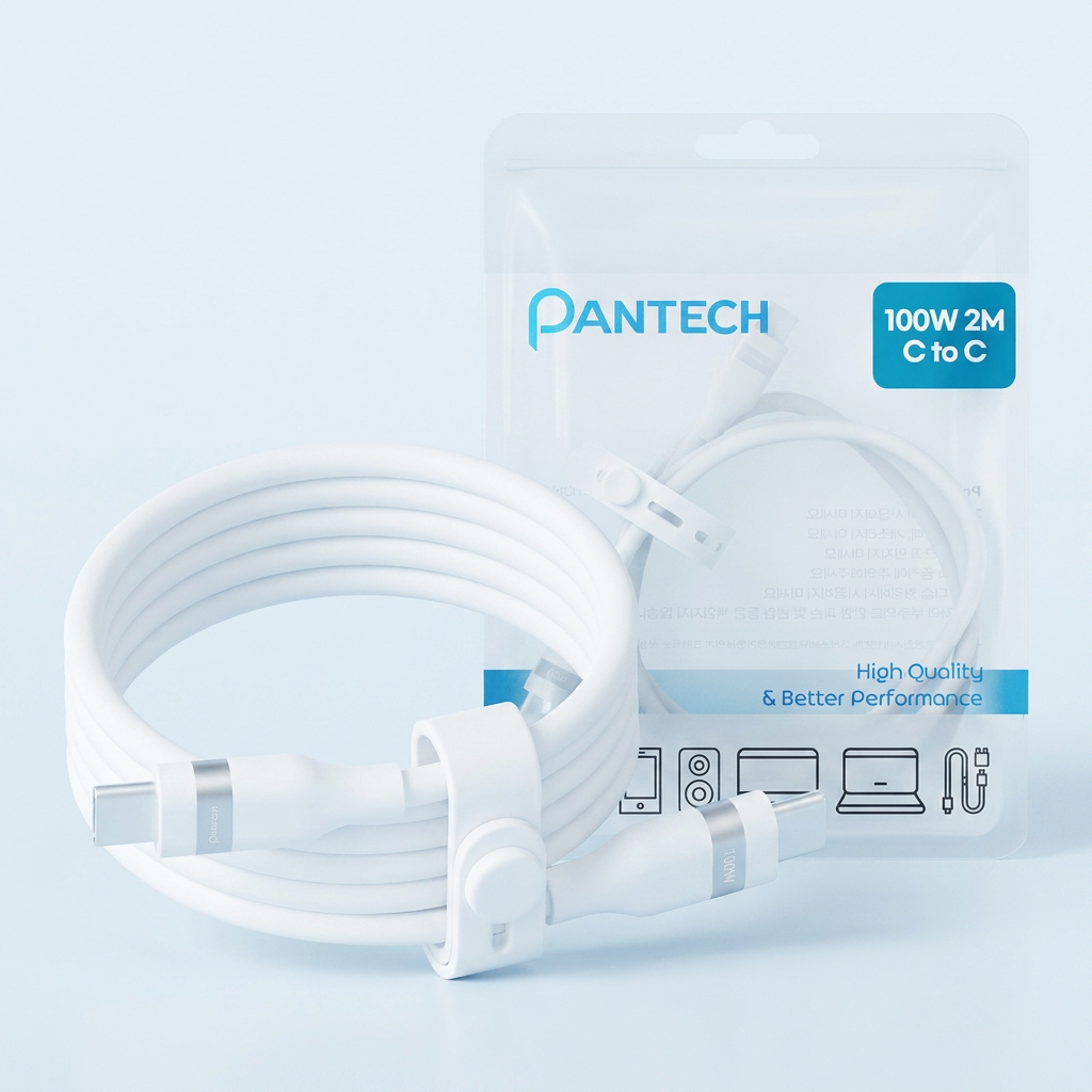 팬택 100W 실리콘 C타입 to C타입 초고속충전 케이블, 화이트, 2m, 1개